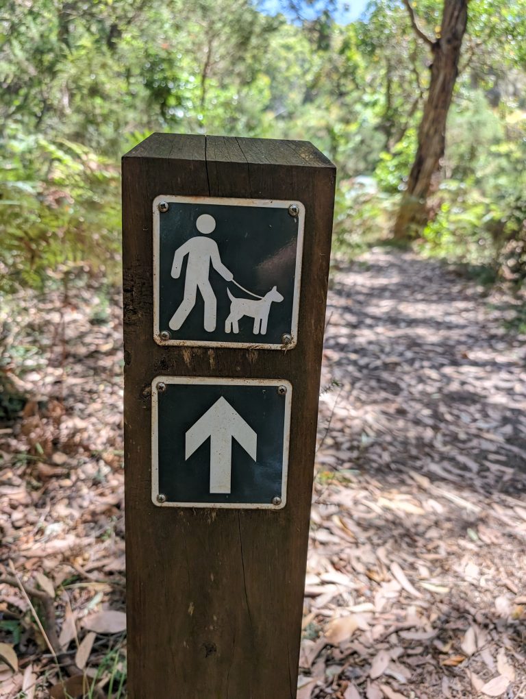 Dog Walking Sign